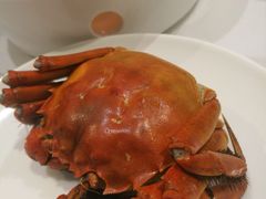 -西湖春天•老字号杭州菜(百汇店)