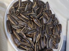 -小七碳火烧烤(越溪店)