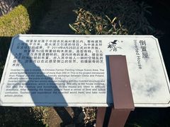 -金山农民画村-枫泾波兰倒置屋