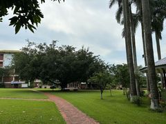 -侯臣咖啡文化村