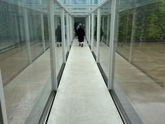 -金泽21世纪美术馆