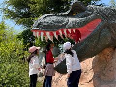 -青岛方特梦幻王国