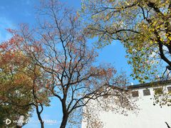 -童福兴·南京菜(老门东店)