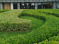 -青岛海尔洲际酒店