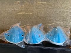 -蓝鲸湾汤泉(包河店)