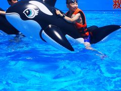 -郑州方特水上乐园