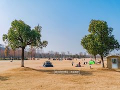 -上海长兴岛郊野公园