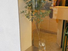 -村口大树(长乐路店)