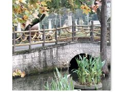 -青龙山国家森林公园