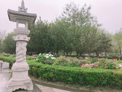 -西安青龙寺遗址景区