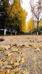 -时尚妈咪产后修复中心