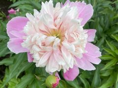 -长春公园(普阳街道)