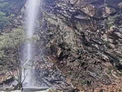 -少华山国家森林公园