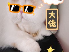 -FAELING PETS美天灵宠物(富力广场店)
