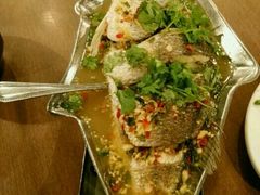 -大中鱼翅 Taitong Shark Fin