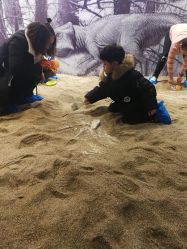 -恐龙探索乐园(磁器口店)