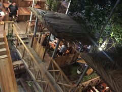 -Rainforest