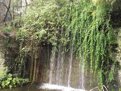 -千岛湖东南湖区