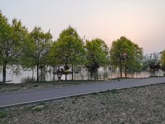 -永定河休闲森林公园