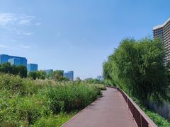 -西海子公园