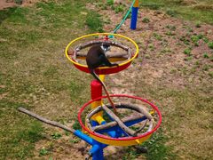 -西霞口神雕山野生动物世界