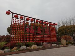 -合肥滨湖国家森林公园