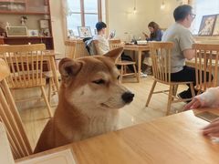 -柴の食堂·日式家庭料理·熊之肆(大学路店)