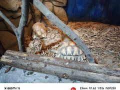 -泉州海丝野生动物世界