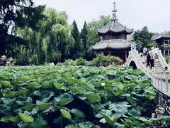 -莲池书院博物馆