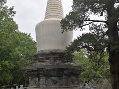 -大觉寺-停车场