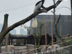 -武汉动物园