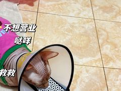 -天宠宠物医院24小时·急重症诊疗中心·全科·腔镜特色(和平分院)