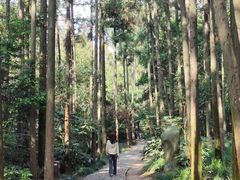 -狼山风景名胜区