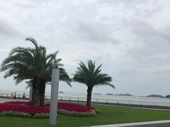 -野狸岛