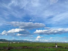 -敕勒川草原