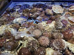 -徐记海鲜(大雁塔|金都店)