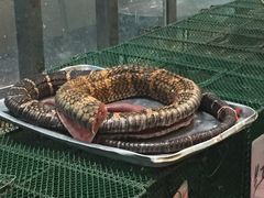 -荔城生鲜盛宴(番禺旗舰店)