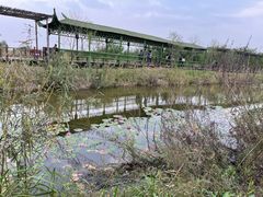 -处女泉风景名胜区