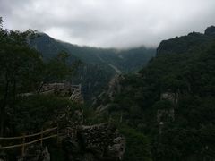 -牛背梁国家森林公园