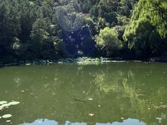 -香山公园