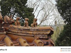 -北海公园