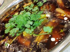 -高坎一品甲鱼庄(两河店)