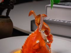 -润苑·悦椿轩(徐汇万科中心一期店)