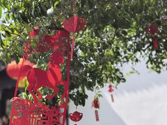 -上海醉白池公园