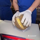 五一假期来重庆玩的小伙伴们这边看过来！