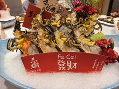 -富黎华海鲜大酒楼(正大广场店)