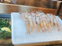 -君悦酒店·乐厨·高空自助餐(青年大街店)