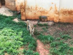 -昆明动物园