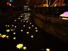 -锦江乐园舞狸花花游园会(夜场专享)