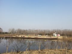 -东郊湿地公园